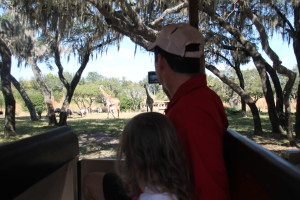 Kilimanjaro Safari