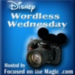 Wordless Wednesday Blog Hop ~ Disney Dads
