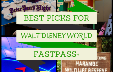 The best attraction choices for your Walt Disney World FastPass+ Picks from DisneyMamas.com