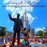 Disney with Little Ones ~ What to Bring and What to Leave at Home