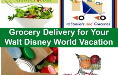 Having groceries delivered for your Disney vacation is a great, money saving option! | Walt Disney World