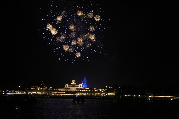 A Wishes Fireworks Cruise is a great splurge for a special occasion; the view from Seven Seas Lagoon is spectacular!