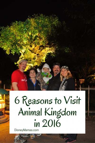 What's New at Animal Kingdom | 6 Reasons to Visit Animal Kingdom in 2016 (1)