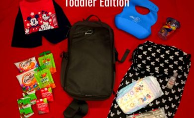 What's in Our Disney Bag | Toddler Edition