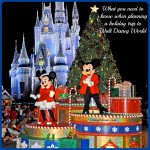 Planning a Holiday Trip to Walt Disney World, or The Line is HOW Long?