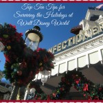 Tips for Surviving the Holidays at Walt Disney World