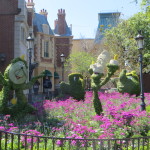 Spending Spring Break at Walt Disney World
