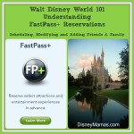Disney Vacation Basics ~ Understanding FastPass+