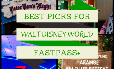 The best attraction choices for your Walt Disney World FastPass+ Picks from DisneyMamas.com