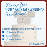 Planning a Disney Fairy Tale Weddings Vow Renewal ~ Options