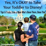 Yes, it’s OKAY to Take Your Toddler to Disney!