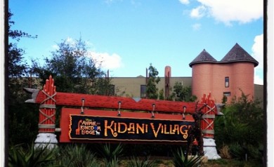 Disney Deluxe Resort Review - Animal Kingdom Lodge and Kidani Village | Disney Mamas