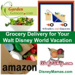 Grocery Delivery for Your Walt Disney World Vacation