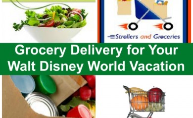 Having groceries delivered for your Disney vacation is a great, money saving option! | Walt Disney World
